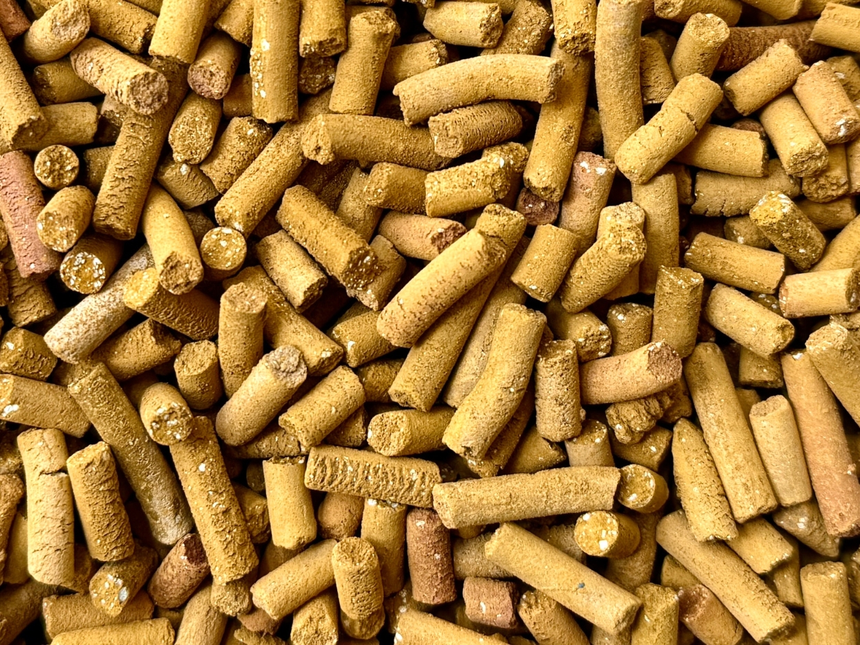 氨硫类气体用吸附剂 CZ-4A